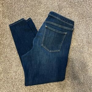 Banana Republic Indigo Denim Jeans